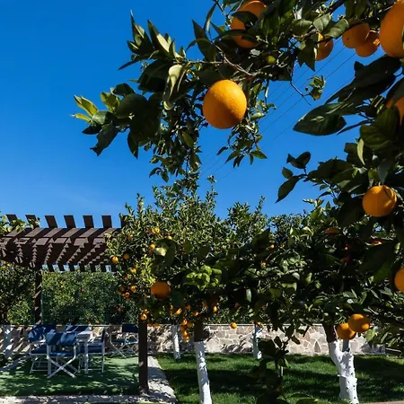 Desa Homes Nyaraló *