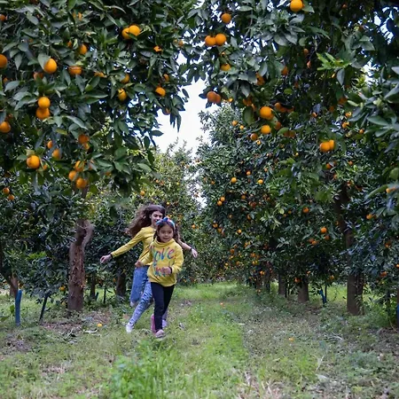 Desa Homes Tatil Evi *